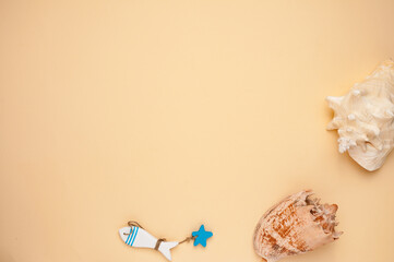 yelllow background and table sea scenery and seashells decoraton for you