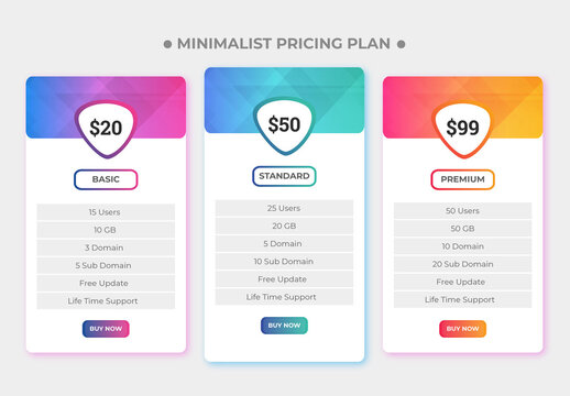 Pricing Plane Design Pricing Infographic