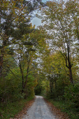 Fototapeta premium Landschaft im Herbst