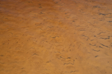 rio negro wine color water in Manaus interior of brazil