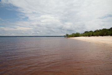 rio negro wine color water in Manaus interior of brazil