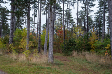 Fototapeta premium Landschaft im Herbst