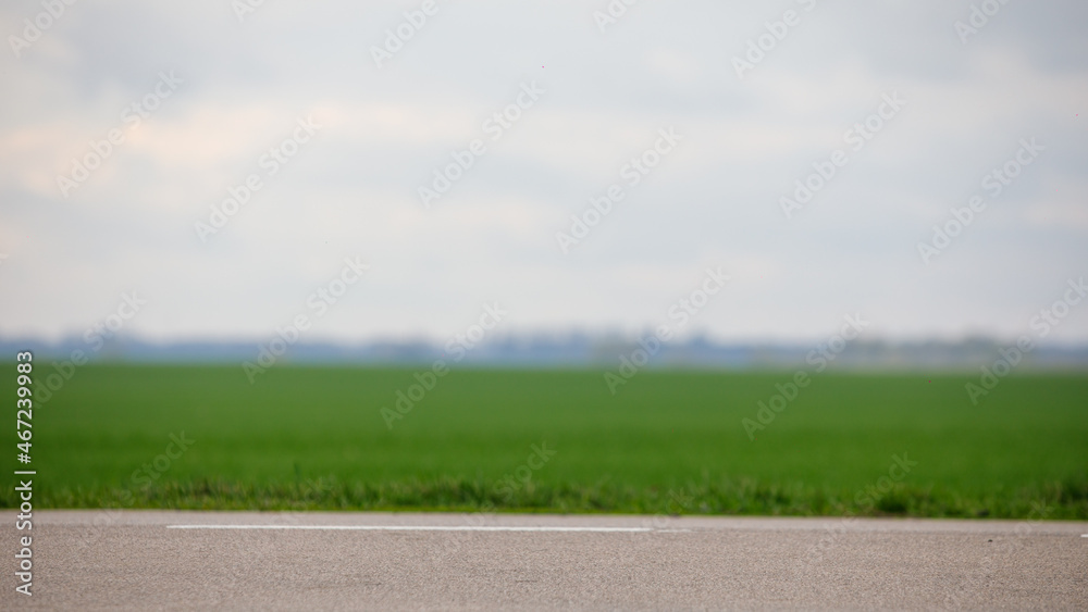 Wall mural road field and green grass background