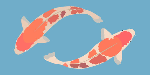 Two Japanese carp. Vector image.