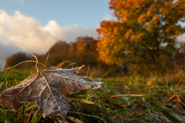 Landschaft im Herbst