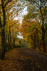 Obraz premium Landschaft im Herbst