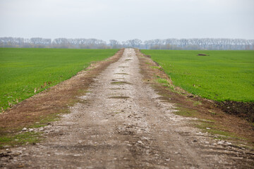 road field and green grass background