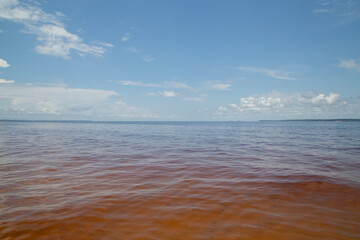 Fototapeta premium rio negro wine color water in Manaus interior of brazil