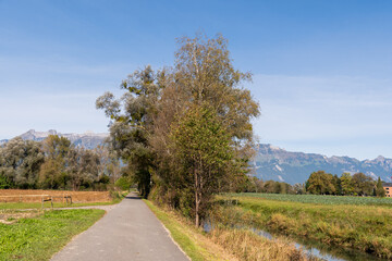 Fototapeta na wymiar Vaduz, Liechtenstein, October 11, 2021 Vegetation on an arable field