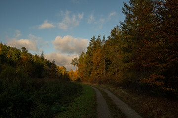 Obraz premium Landschaft im Herbst