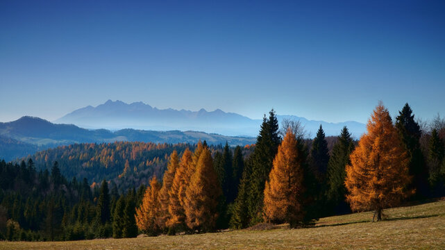 Tatry Obidza Piwniczna