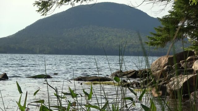 Acadia National Park, Maine, view of Eagle Lake with reeds and mountain in the background