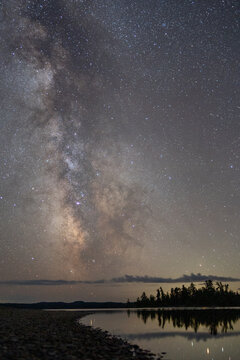 Milky Way Forest