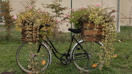 Bicycle being used as a plant stand stood on the grass