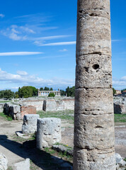 Column in Greek settlement ruins, Paestum, Italy, 2021. - 467245930