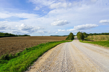 beautiful rural landscape with plowed field, gravel road, forest and blue sky