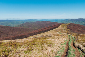 Mountain meadows, Bieszczady Mountains, Poland