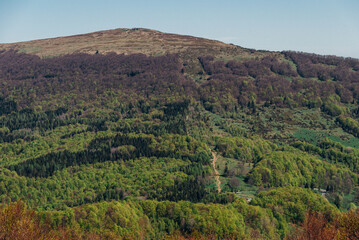 Obraz premium Wooded mountain peak, Bieszczady Mountains, Poland
