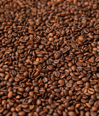 Fresh roasted coffee beans background. Selective focus.