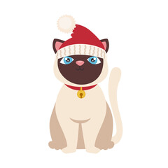 cute cat with santa hat