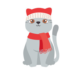little cat with santa hat