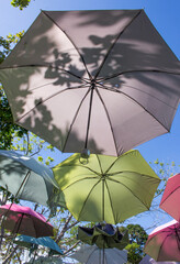 Colorful umbrella ceiling with plants beside on a sunny day