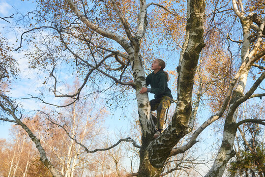 Brave child girl climbing a tree outdoors in the forest