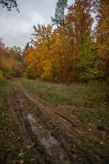 Obraz premium Landschaft im Herbst
