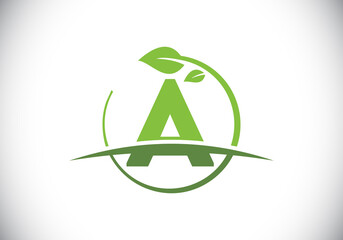 Initial A monogram alphabet with circle leaf and swoosh. Eco-friendly logo concept. Font emblem. Modern vector logo for ecological business and company identity