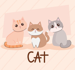cute cats in group