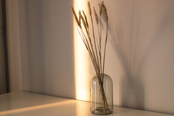 glass vase on a table with dried flowers. Minimalism. Modern decor