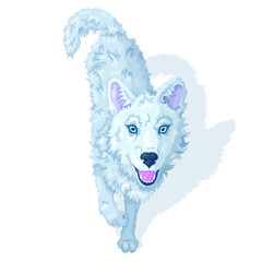 Vector illustration of a white wolf, isolated image on a white background. EPS 10