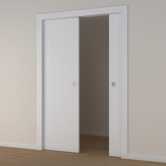 3d rendering of a double sliding door in white lacquered wood