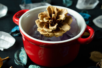 pot with pine cone
