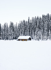 Lake Louise