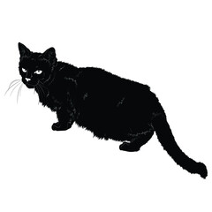 Vector illustration. Black silhouette of a domestic cat isolated on white background. EPS 8