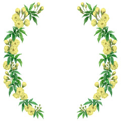 アナログ水彩モッコウバラの半円形装飾フレーム