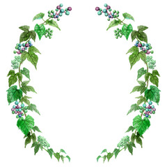 アナログ水彩野葡萄の半円形装飾フレーム