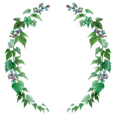 アナログ水彩野葡萄の半円形装飾フレーム