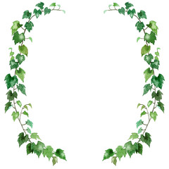 Fototapeta premium アナログ水彩アイビーの半円形装飾フレーム