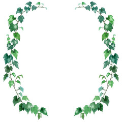 アナログ水彩アイビーの半円形装飾フレーム