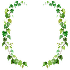 アナログ水彩アイビーの半円形装飾フレーム