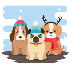 three cute christmas dogs