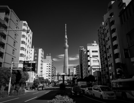Tokyo Boulevard