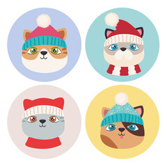 four cute christmas cats