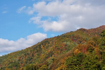 高揚した山
