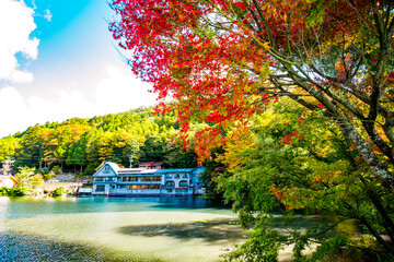 Obraz premium 由布院の紅葉