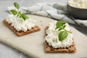 Crispy crackers with cottage cheese and basil on light grey marble table, closeup