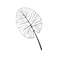 An outline jpeg illustration of a monstera leaf isolated on transparent background. Designed in black and white colors for web concepts, prints, templates
