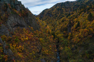 渓谷の紅葉